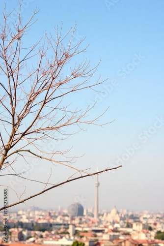 Wallpaper Mural Bare tree branches against a bright sky overlooking a distant city skyline on a clear day Torontodigital.ca