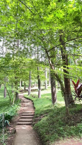Harmony with nature — an outdoor setting in a pine forest where you can relax, camp, or enjoy various outbound activities