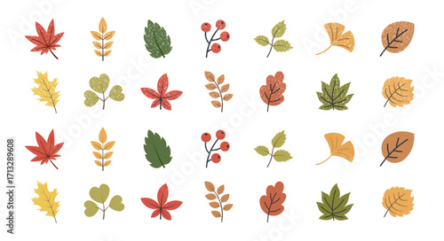 Autumn leaves set. Colorful flat icon and hand drawn doodle elements with crayon. Fall season various branches and foliage clipart set. Vector illustration.