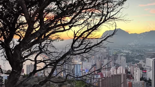 Wallpaper Mural A stunning sunset paints vibrant colors over the cityscape, beautifully framed by a silhouetted tree Torontodigital.ca