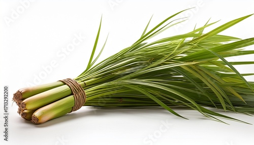 Cymbopogon Citratus On White Background