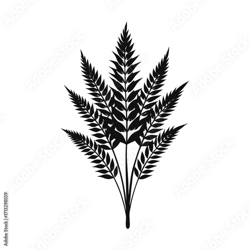 wheat ears isolated on white background