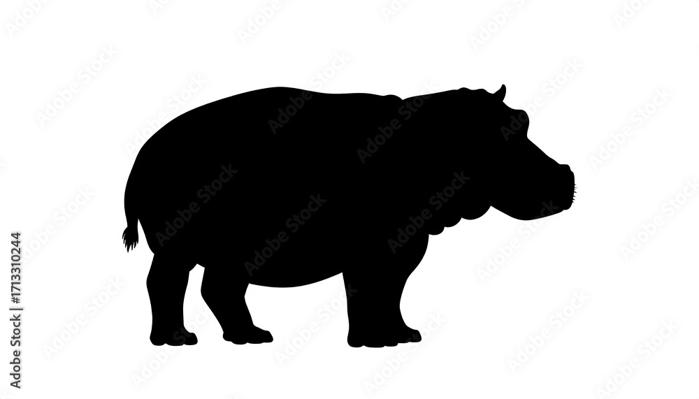 Fototapeta premium Silhouette of a hippopotamus