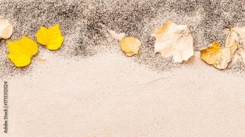 beach, sand, sea, nature, summer, shell, texture, water, stone, ocean, abstra...