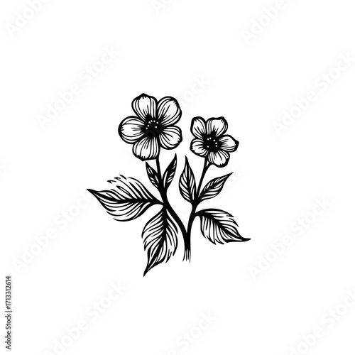 Elegant floral sketch illustration, delicate blossoms and leaves, botanical art in minimalist