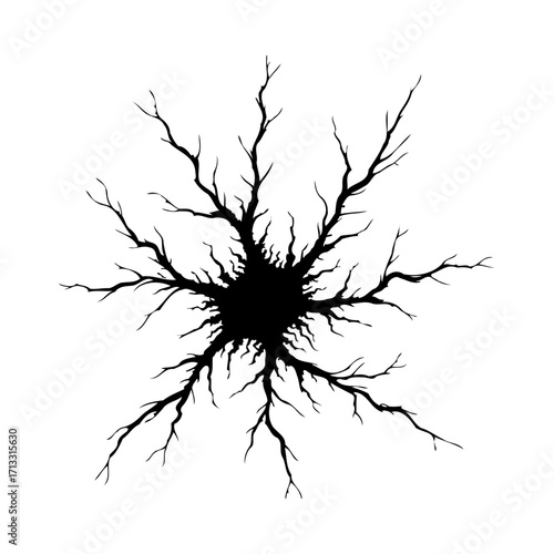 Fractured reality concept featuring a stark central split with radiating branch-like fissures
