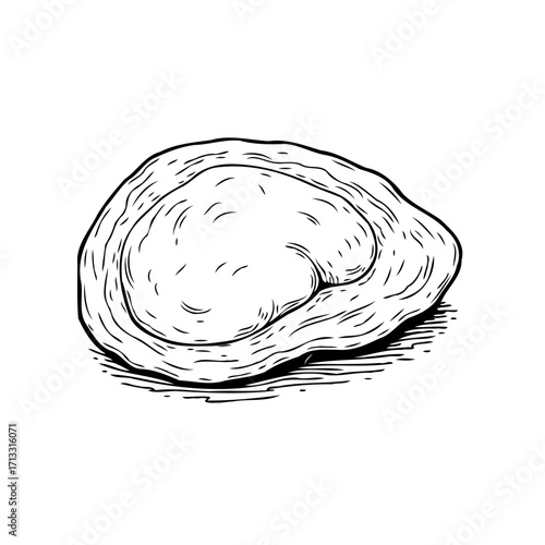 Hand drawn single piece of orecchiette pasta illustration showcasing its unique shape and textured