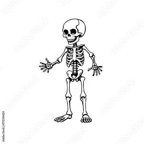 Humorous depiction of a cartoon skeleton standing cheerfully with a whimsical anatomical