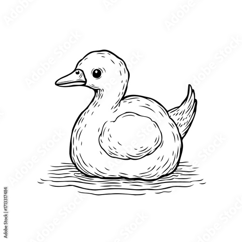 Ink drawing illustration showcasing a cute duckling floating in calm water with a delicate line