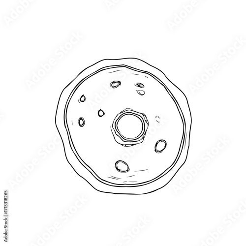 Minimalist doughnut illustration simple line drawing confectionery art circular form sweet treat