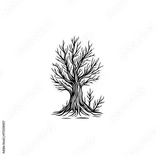 Monochromatic arboreal silhouette featuring a stark leafless tree with intricate branches against
