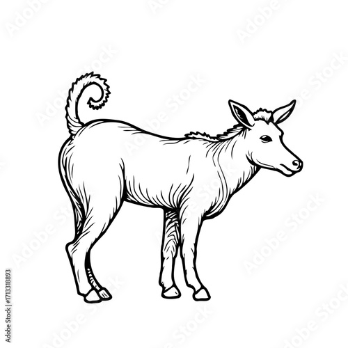 Monochrome detailed animal illustration showing a donkey standing on a white background in side