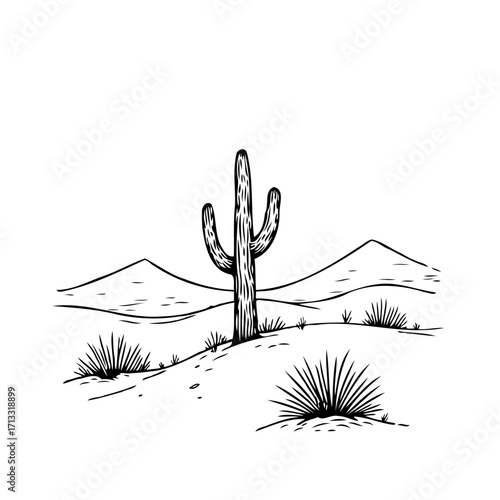 Monochrome desert landscape sketch of a saguaro cactus under clear sky within arid region and