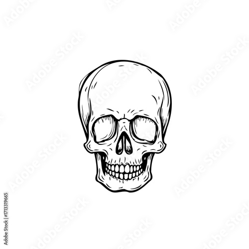 Monochrome portrayal skull bone anatomical form skeletal structure cranium head death symbol