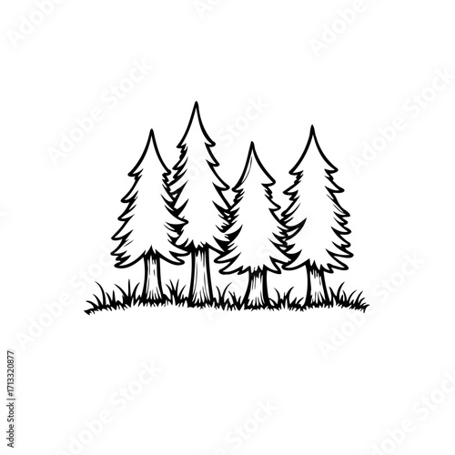 Simple drawn spruce trees forming a small forest grove in a minimalistic design style ideal