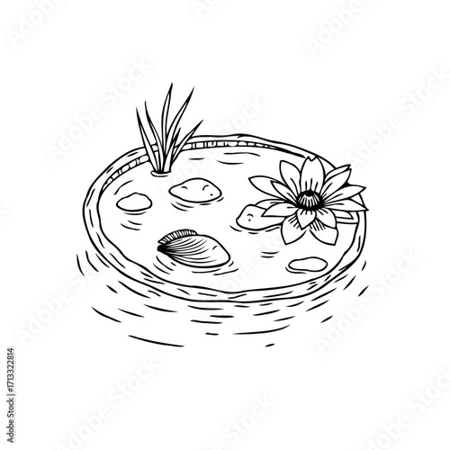 Tranquil water garden pond illustration with a blooming flower and submerged stones line art