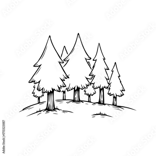 Whimsical conifers illustration simple forest scene drawing coniferous trees in formation artistic