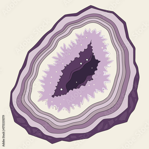 Purple Amethyst Geode Slice with Crystals mineral rock