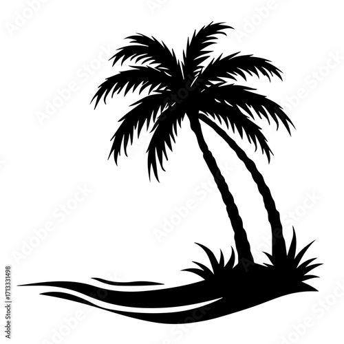 silhouette of a palm tree