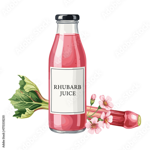 Watercolor illustration of a bottle of rhubarb juice with fresh rhubarb stalks and delicate pink flowers, isolated on white background