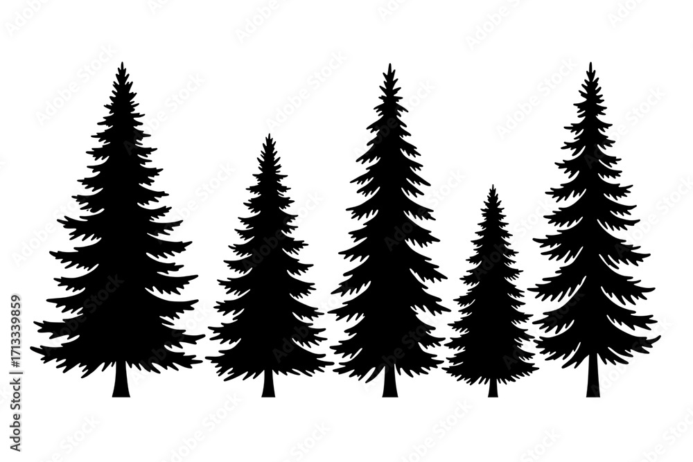 Obraz premium A collection of five black coniferous tree silhouettes isolated on transparent cutout background, cut out, png