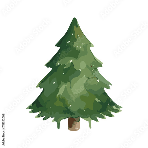 Watercolor pine tree illustration. Hand-drawn evergreen fir tree isolated on a white background. Simple Christmas or winter forest element.