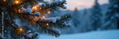 Serene Twilight Pine Tree Snow-Dusted Branches Glowing in Winters Warm Light - Perfect for Holiday and Winter Projects