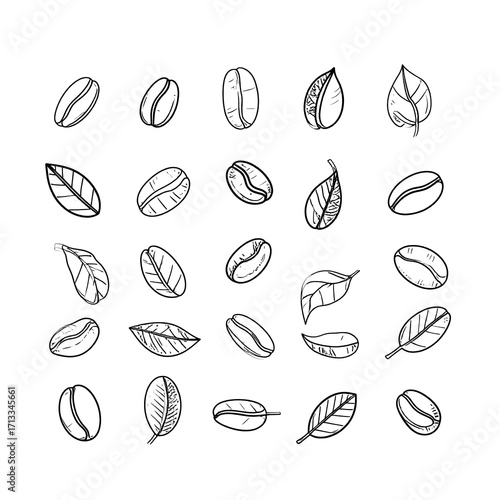 Simple black and white coffee beans and leaves