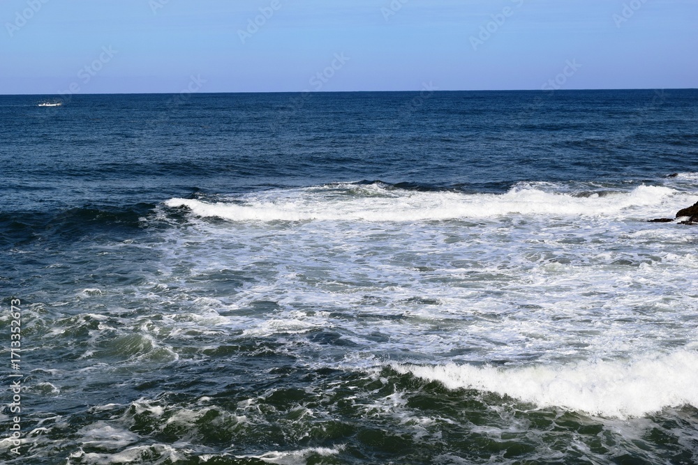 Fototapeta premium 日本海の荒波 山形県庄内海岸