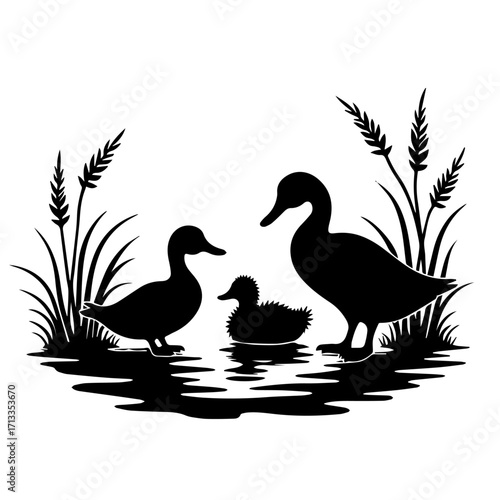 duck and duckling, bird, duck, goose, animal, nature, isolated, white, vector, illustration, silhouette, wildlife, swan, geese, water, wild, beak, animals, black, mallard, feather, cartoon, waterfowl,