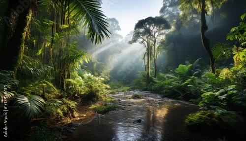 Jungle