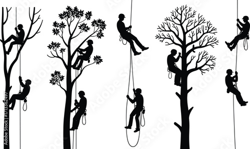 Professional arborists climbing trees with ropes and harnesses, tree maintenance, pruning, and safety gear in various seasonal landscapes for forestry work
