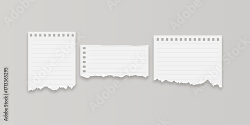 Collection of realistic torn paper sheet vector elements with ripped edges and textures perfect for collages, notes, scrapbook designs, and visual compositions