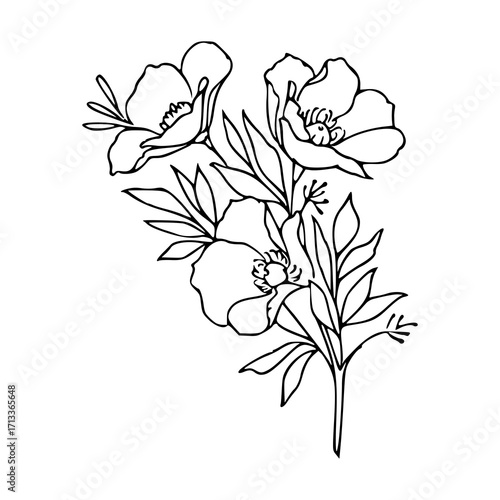 delicate botanical line art design