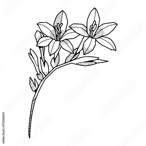 delicate botanical vector design