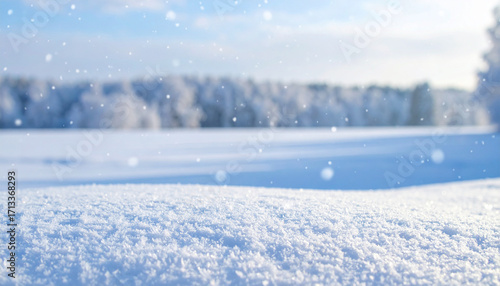 Wallpaper Mural Winter Wonderland: A serene landscape blanketed in fresh snow, the crisp air filled with softly falling snowflakes and the distant outline of snow-covered trees. Torontodigital.ca