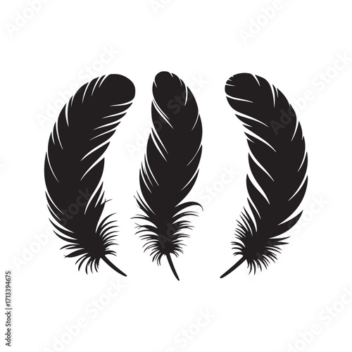 Three black feather vector isolated on white background.