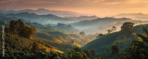 Sunrise illuminates rich coffee plantation. Rolling hills, golden light, peaceful atmosphere, ideal for travel, tourism, harvest, farming. Central American landscape, idyllic rural scenery. Beautiful
