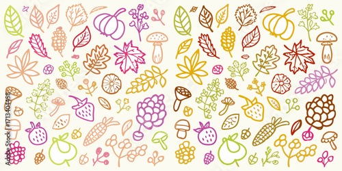 Whimsical hand drawn autumn harvest elements collection with leaves pumpkins berries and mushrooms