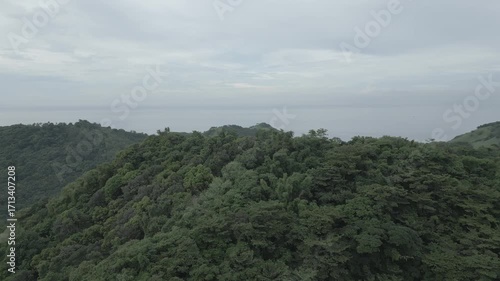 forest in the mountains and open ocean