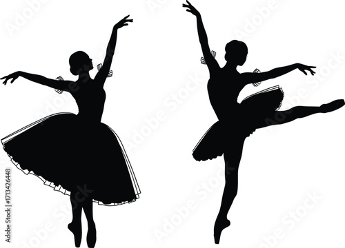 Silhouettes of two ballerinas in elegant ballet poses, dancing on pointe with flowing tutus and graceful arms.