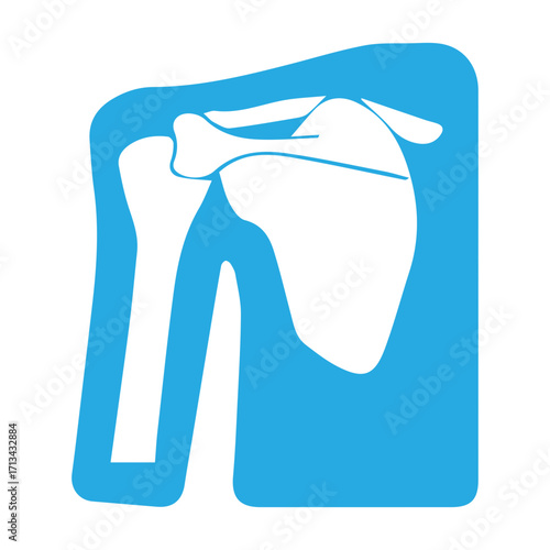 Shoulder Anatomy Icon