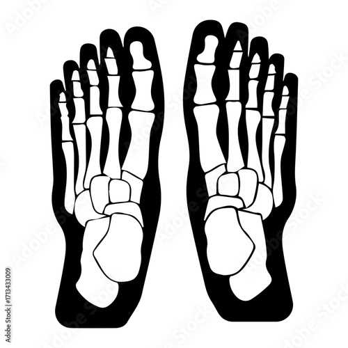 Human Feet Skeleton Diagram