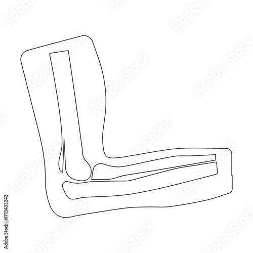 Elbow Joint Anatomy