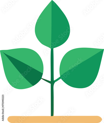 Green sprout growing plant leafy stem seedling new life nature growth healthy ecosystem organic vegetation botanical