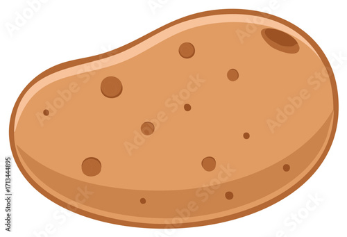 One single potato with eyes isolated illustration on white
