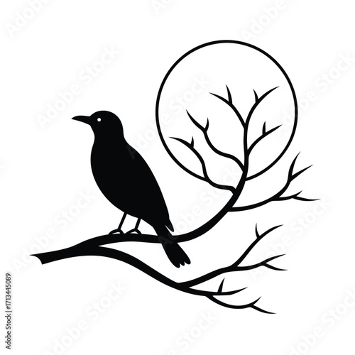 Black Silhouette of Bird on Tree Branch with Full Moon