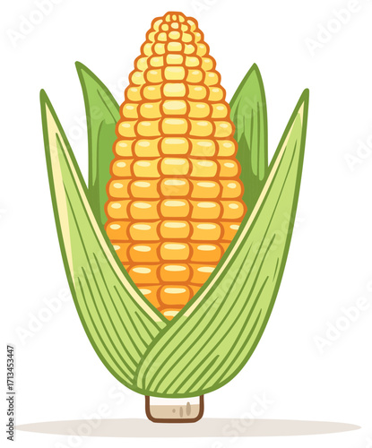Illustration of a fresh yellow corn cob with green leaves
