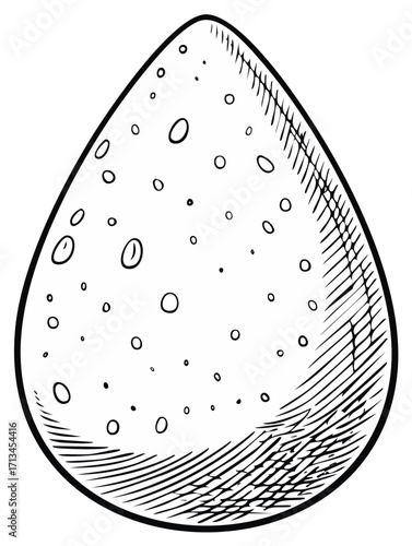 Hand drawn illustration of an egg with texture and dots