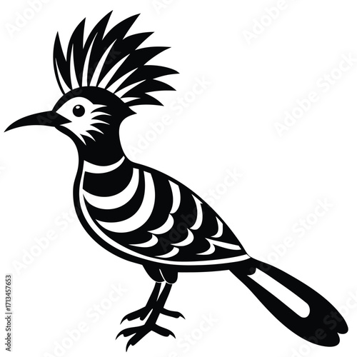 pheasant bird vector illustration